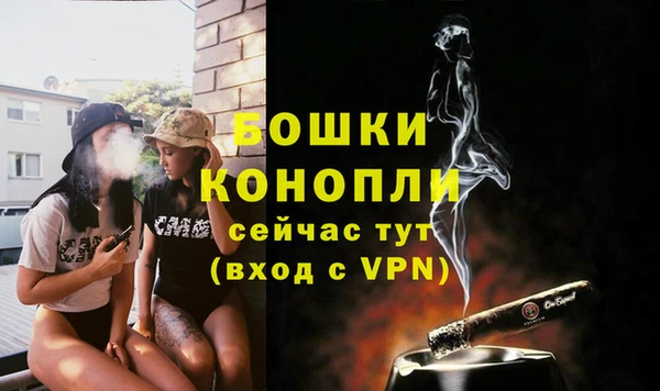 стаф Белоозёрский