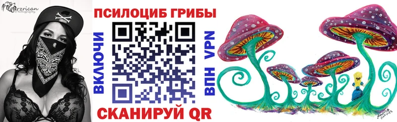 кракен tor  Ефремов  Галлюциногенные грибы Psilocybine cubensis 