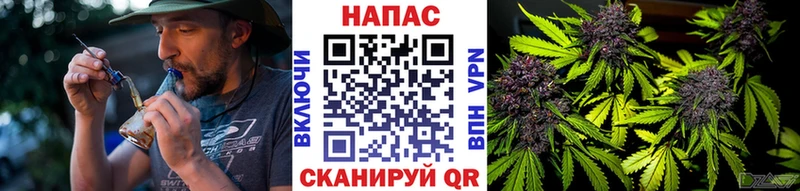 даркнет сайт  Ефремов  мориарти наркотические препараты  Шишки марихуана ГИДРОПОН 